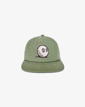 FORAGING FAIRWAYS SNAPBACK